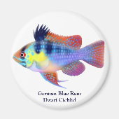 German Blue Ram Dwarf Cichlid Magnet (Vorne)