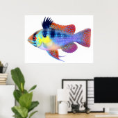German Blue Ram Dwarf Cichlid Poster (Heimbüro)
