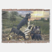German Hunting Terrier (Jagdterre) Decke (Vorderseite)