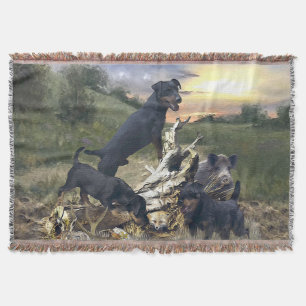 German Hunting Terrier (Jagdterre) Decke