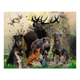 German Hunting Terrier (Jagdterre) Fotodruck