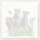 German Hunting Terrier (Jagdterre) Glasuntersetzer (Rückseite)