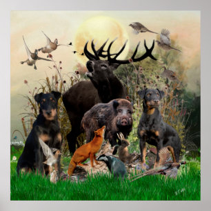 German Hunting Terrier (Jagdterre) Poster