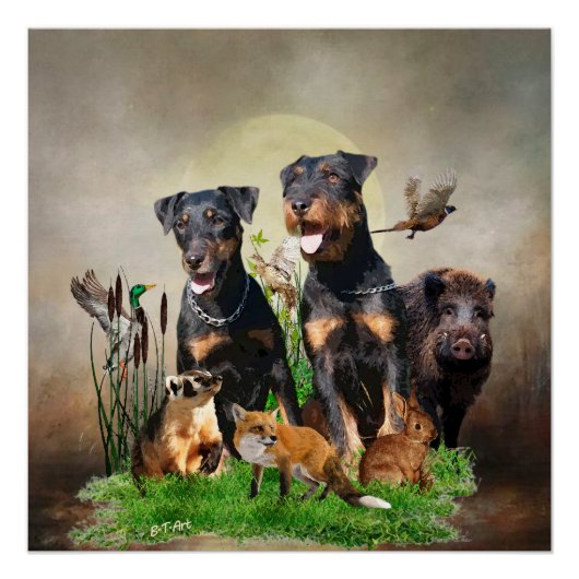 German Hunting Terrier (Jagdterre) Poster (Vorderseite)