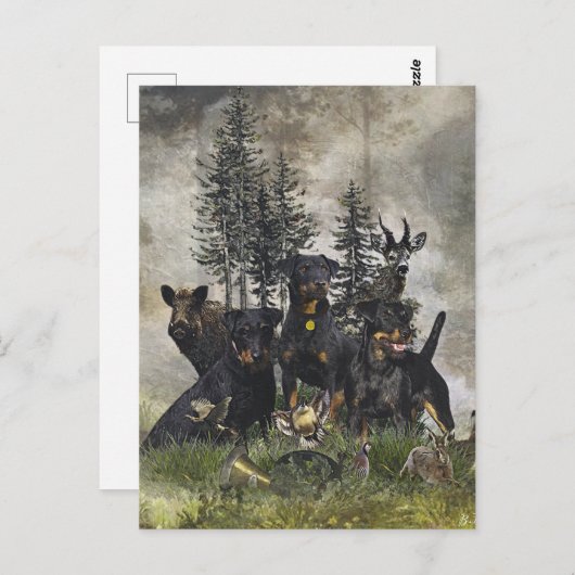 German Hunting Terrier (Jagdterre) Postkarte (Vorne/Hinten)