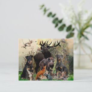 German Hunting Terrier (Jagdterre) Postkarte