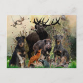 German Hunting Terrier (Jagdterre) Postkarte (Vorderseite)