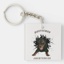 German Hunting Terrier (Jagdterre)