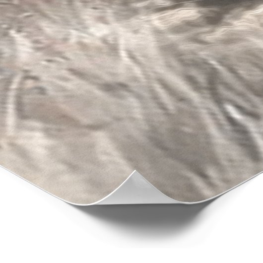 German Hunting Terrier Poster (Ecke)