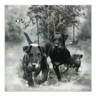 German Hunting Terrier, The Jagdterrier, Art Poster