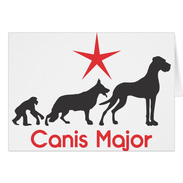German Mastiff Canis Major (Vorderseite (Horizontal))