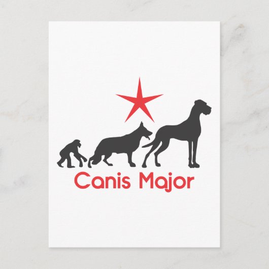 German Mastiff Canis Major Postkarte (Vorderseite)
