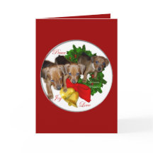 German Pinscher Christmas Geschenke