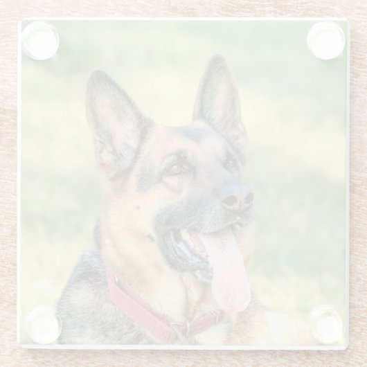 German Shepard Glasuntersetzer (Rückseite)