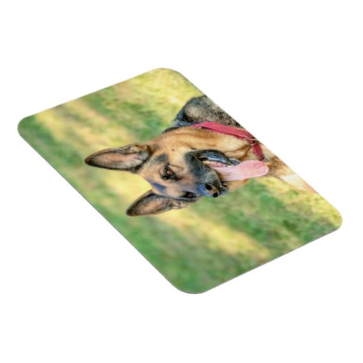 German Shepard Magnet (Rechte Seite)