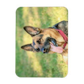 German Shepard Magnet (Vertikal)