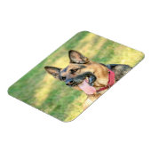 German Shepard Magnet (Linke Seite)