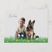 German Shepard Postkarte (Vorderseite)