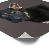 German Shepard Puppy Poster (Ecke)