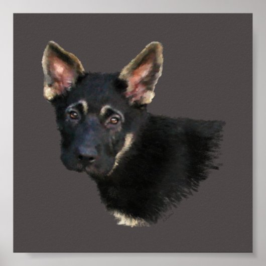 German Shepard Puppy Poster (Vorne)