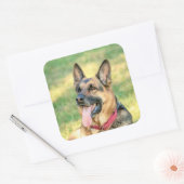 German Shepard Quadratischer Aufkleber (Umschlag)
