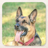 German Shepard Rechteckiger Pappuntersetzer (Vorderseite)