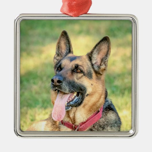 German Shepard Silbernes Ornament (Vorne)