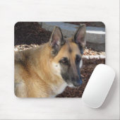 German Shepherd Abby Mouse Pad Mousepad (Mit Mouse)