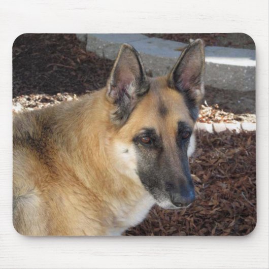German Shepherd Abby Mouse Pad Mousepad (Vorne)