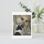 German Shepherd and Kitty Friend Postkarte (Stehend Vorderseite)
