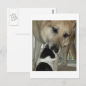 German Shepherd and Kitty Friend Postkarte (Vorne/Hinten)
