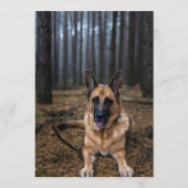 German Shepherd Bar Menükarte (Rückseite)