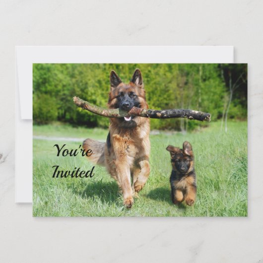 German Shepherd Birthday Einladung (Vorderseite)