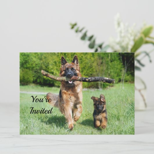 German Shepherd Birthday Einladung (Stehend Vorderseite)