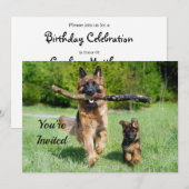 German Shepherd Birthday Einladung (Vorne/Hinten)