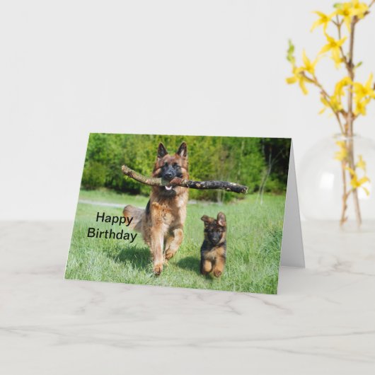 German Shepherd Birthday Karte (Gelbe Blume)