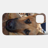 German Shepherd Cat Nickerchen, iPhone 13 Fall Case-Mate iPhone Hülle (Rückseite (Horizontal))