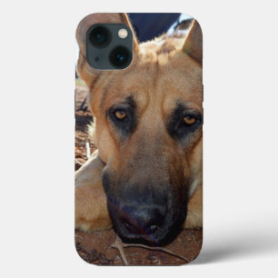 German Shepherd Cat Nickerchen, iPhone 13 Fall Case-Mate iPhone Hülle