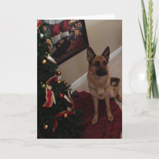 German Shepherd Christmas Feiertagskarte (Vorderseite)