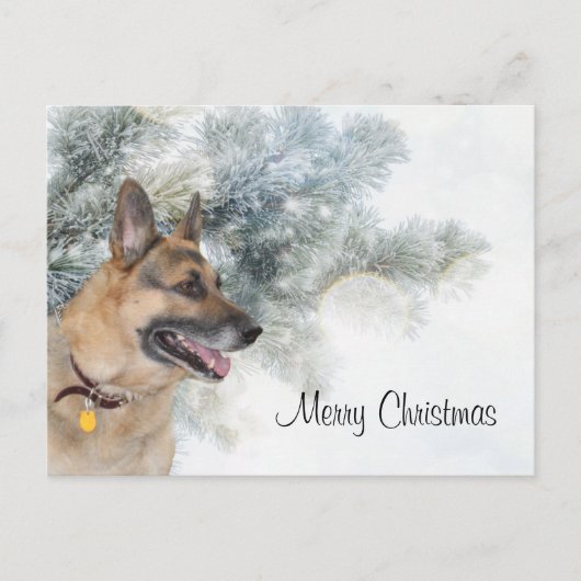 German Shepherd Christmas Feiertagspostkarte (Vorderseite)