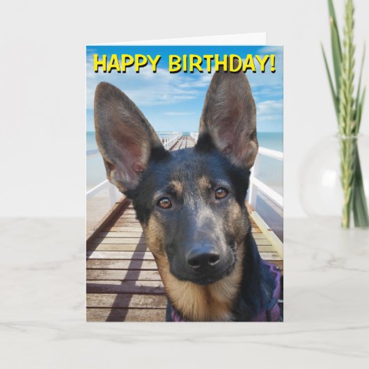 German Shepherd customizable greetings card Karte (Vorderseite)
