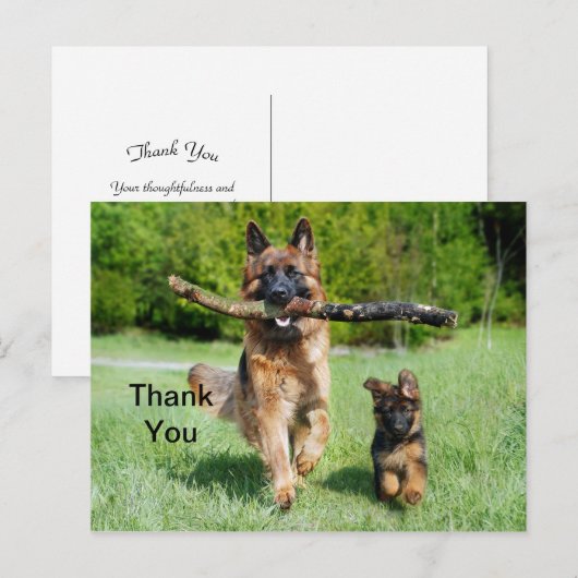 German Shepherd Danke, Postcard Postkarte (Vorne/Hinten)
