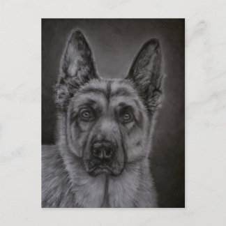 German Shepherd Dog Art - Noble Postkarte