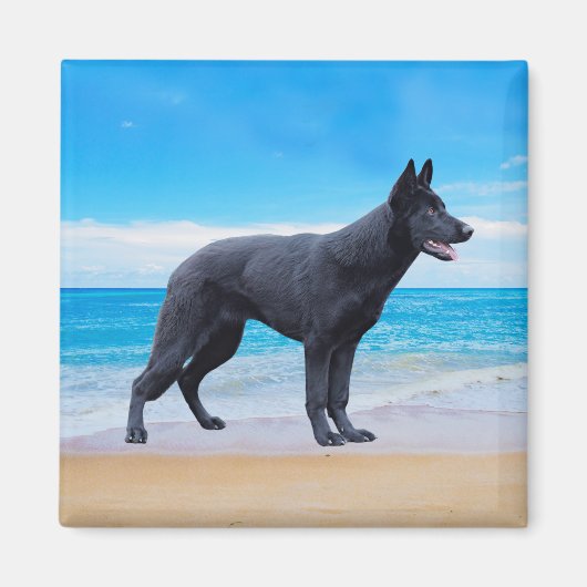 German Shepherd Dog Beach Portrait Magnet (Vorne)