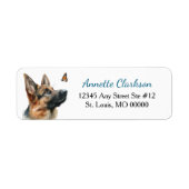German Shepherd Dog Butterfly Wonder (Vorne)