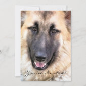 GERMAN SHEPHERD DOG EINLADUNG (Vorderseite)