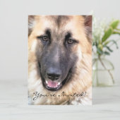 GERMAN SHEPHERD DOG EINLADUNG (Stehend Vorderseite)