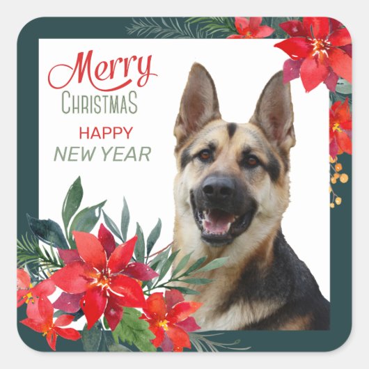 German Shepherd Dog Poinsettia Bouquet Weihnachten Quadratischer Aufkleber (Vorderseite)