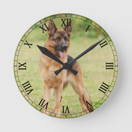 German shepherd dog runde wanduhr (Vorderseite)