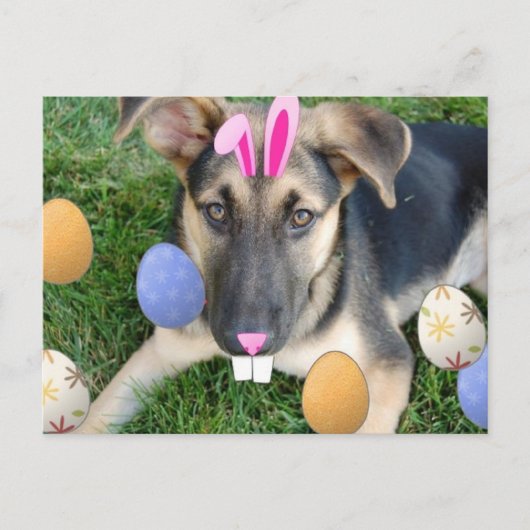 German Shepherd Easter Puppy Feiertagspostkarte (Vorderseite)